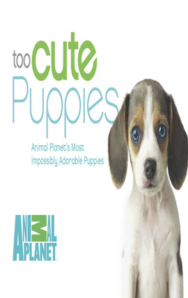Cover image for Too Cute Puppies